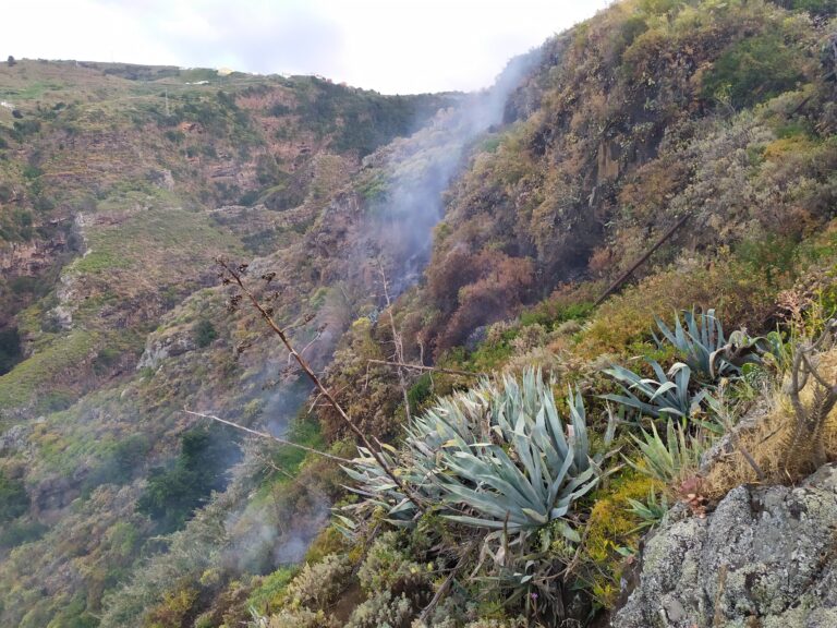 Investigan a dos personas por provocar un incendio forestal en San Andrés y Sauces