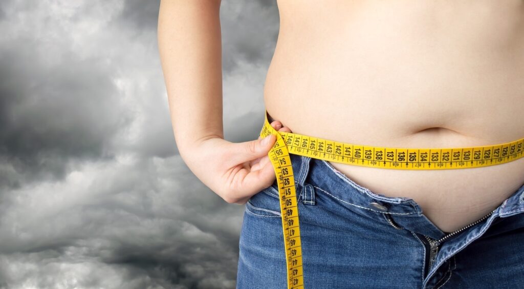 La autofagia, un mecanismo clave que puede prevenir la obesidad