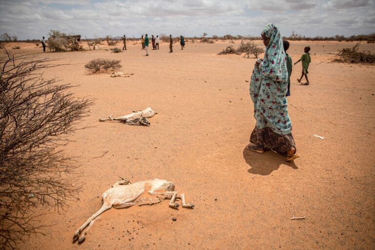 Alertan de que se está «perdiendo la oportunidad para evitar la hambruna» en Somalia