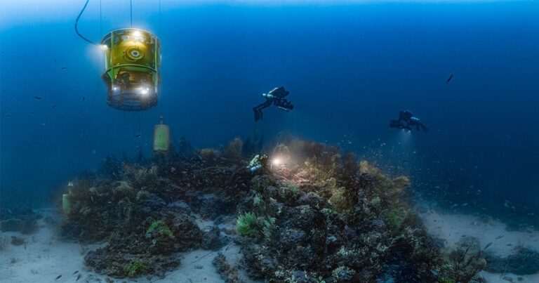 El International Ocean Film Tour llegará a los Jameos del Agua (Lanzarote) el próximo 6 de octubre