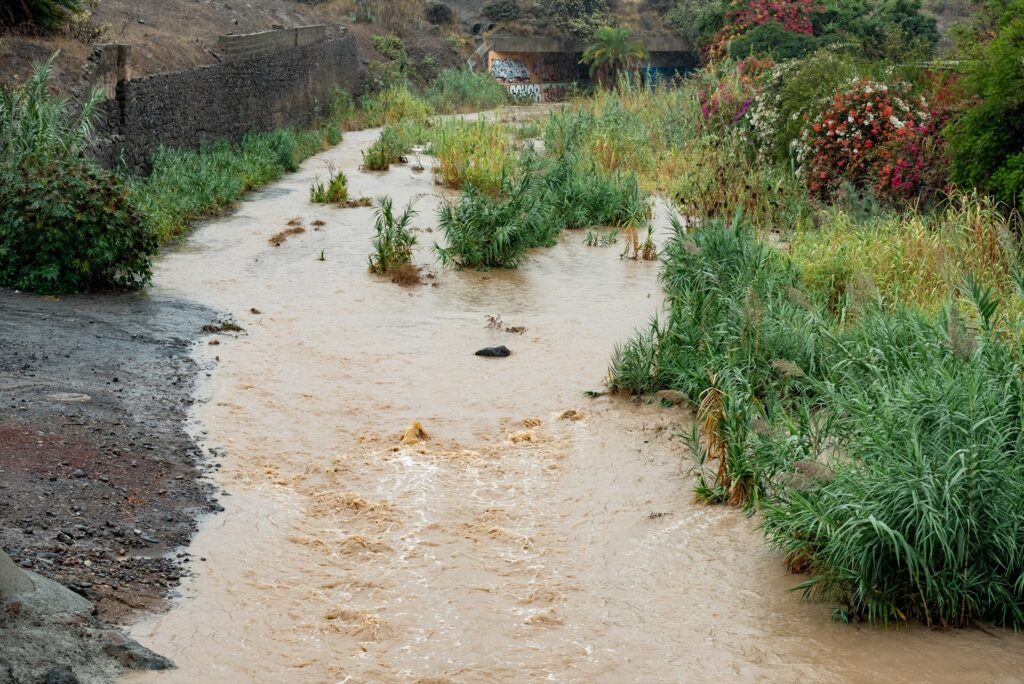 Los agricultores se muestran satisfechos con el paso de Hermine por Canarias
