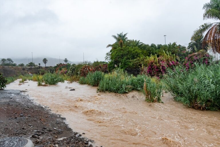 Los agricultores se muestran satisfechos con el paso de Hermine por Canarias