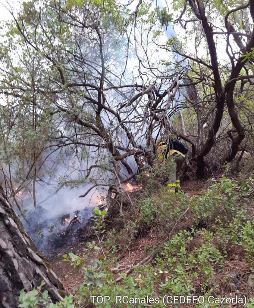 Quinto día de lucha contra el incendio de Granada, que sigue sin estabilizarse