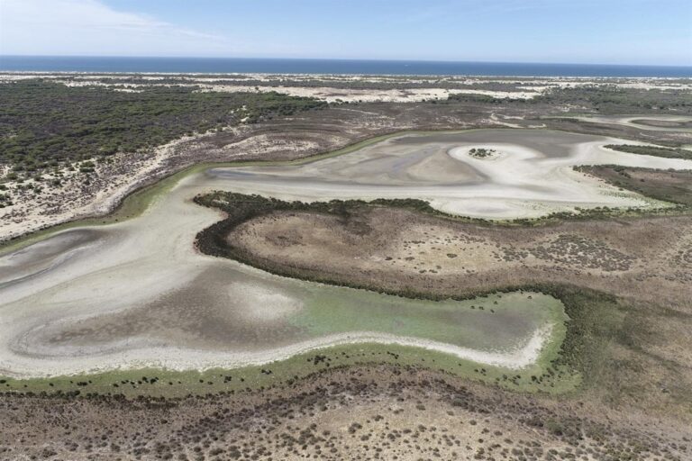 La sequía prolongada afecta ya al 38,5 % del territorio nacional