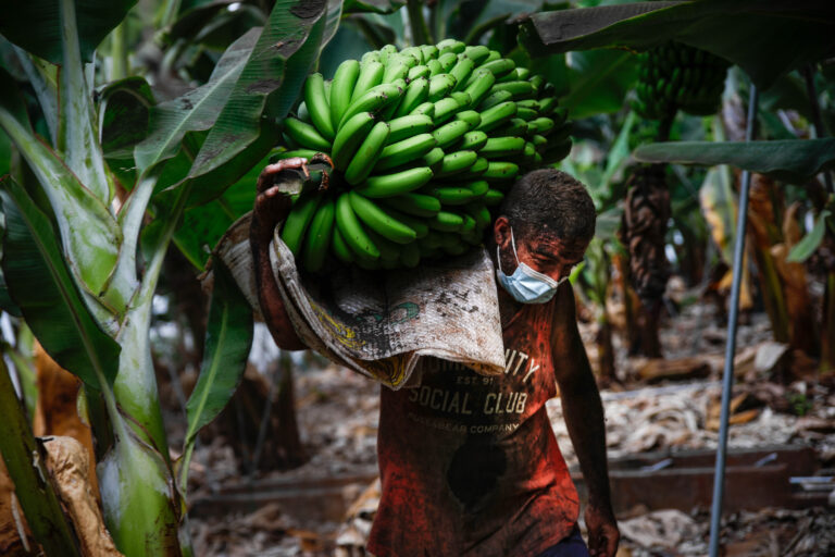 Valido logra el apoyo para ayudar a los agricultores afectados por el volcán de La Palma