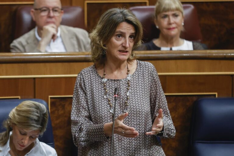 Ribera dice que se pagaría entre un 20 % y 30 % más en el recibo de la luz sin medidas