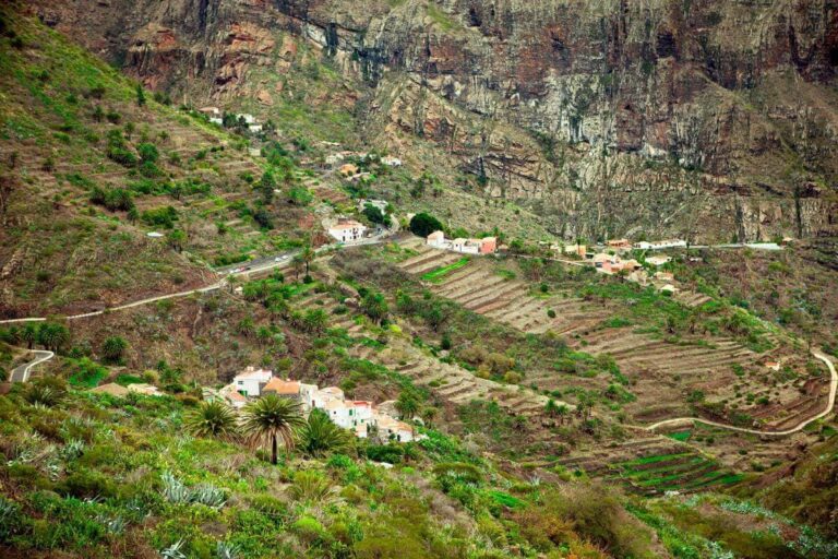 Investigan a dos personas por construir viviendas y una perrera en espacios protegidos de Tenerife