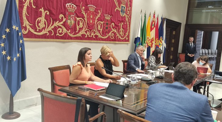 Yaiza Castilla dice que el caso de Miñarro Mena está en manos de su partido