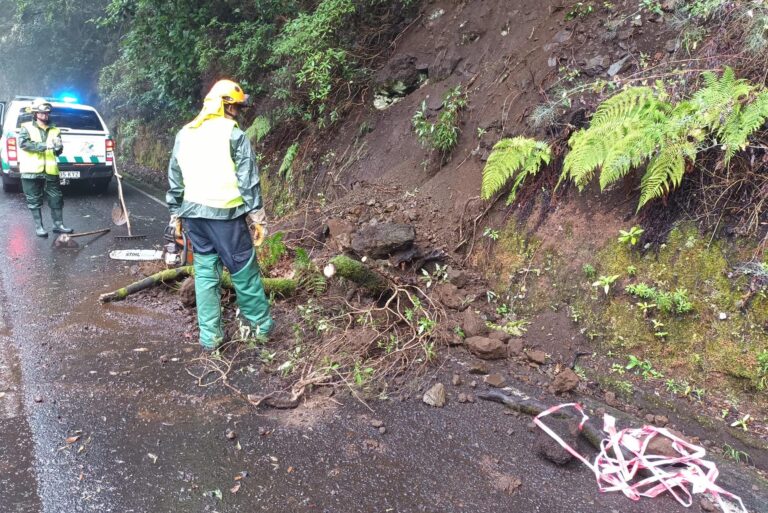 Los servicios de emergencias y limpieza trabajan para recuperar zonas afectadas por la lluvia