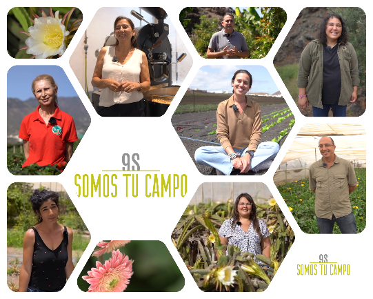 «El sector primario canario es dinámico y está generando empleo»