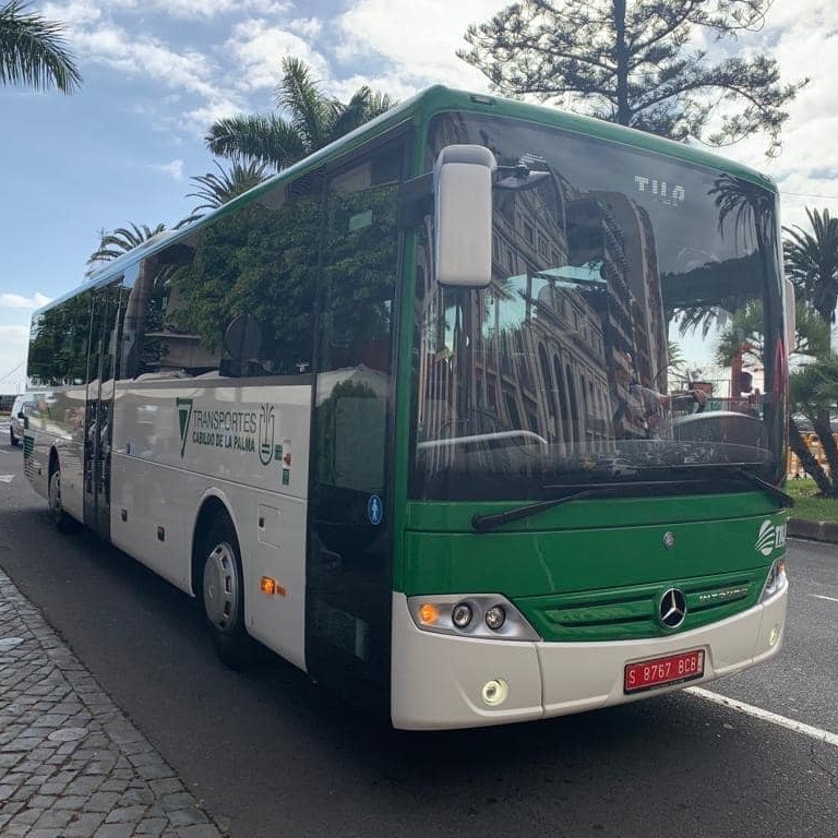 La Palma prorroga seis meses el bono de guagua para damnificados de erupción