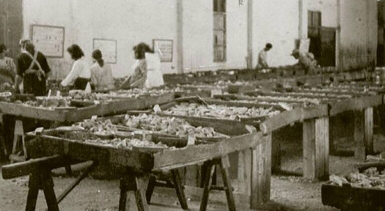 El Cabildo de La Gomera homenajea a las mujeres de los pescadores