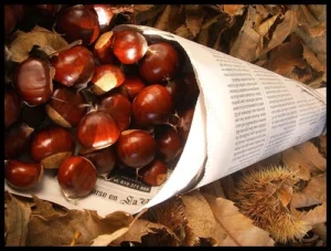 El robo de castañas provoca descontento entre los agricultores palmeros