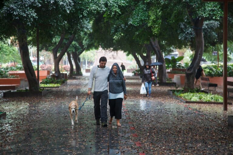 La tormenta ‘Hermine’ activó todos los planes de emergencia por primera vez en Canarias