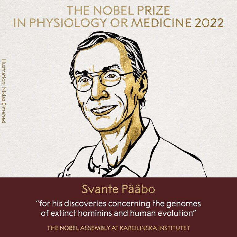 Pääbo gana el Nobel de Medicina o Fisiología por sus descubrimientos sobre el genoma de humanos extintos