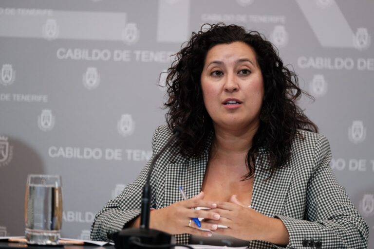 El Cabildo de Tenerife ofrece formación gratuita al comercio para promocionarse y vender online