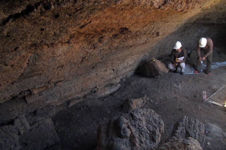 Los guanches subían a Las Cañadas del Teide en verano
