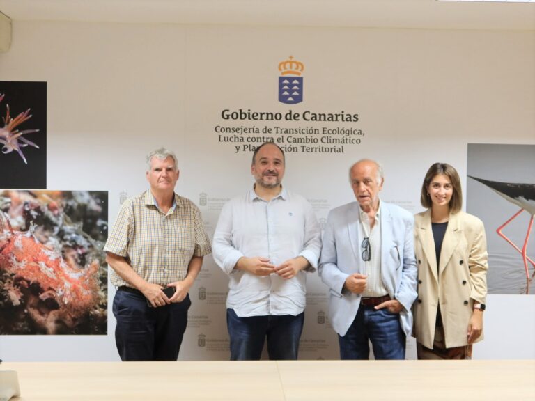 El Gobierno de Canarias convocará en diciembre la Comisión Mixta sobre Costas