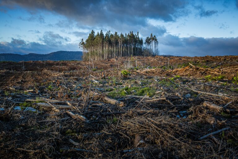 Indican que las evidencias científicas sobre el cambio climático son obvias