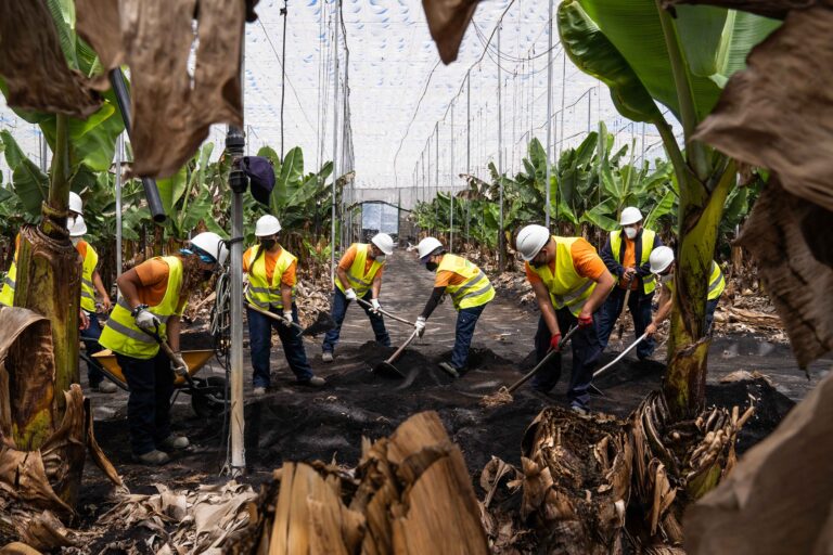 Gesplan retira ceniza volcánica de más de 1.000 edificaciones en La Palma