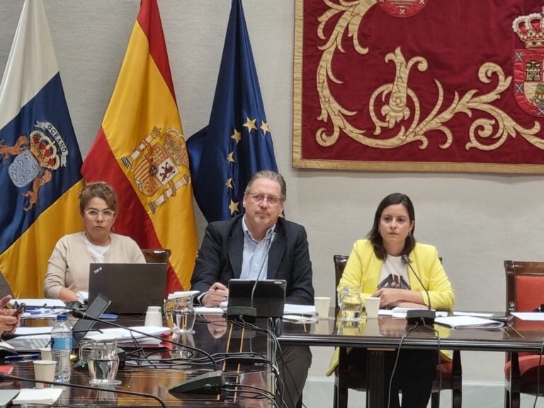 Yaiza Castilla avanza que el presupuesto de su departamento irá a estimular la economía y el empleo