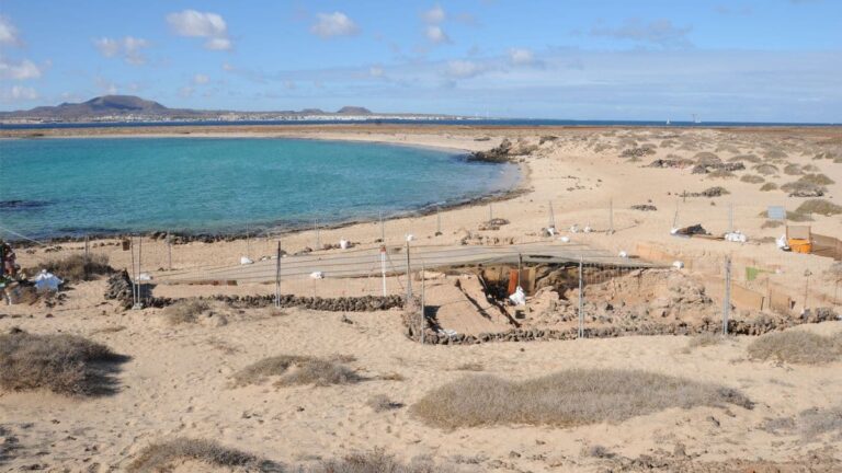 Tras la púrpura romana en Lobos