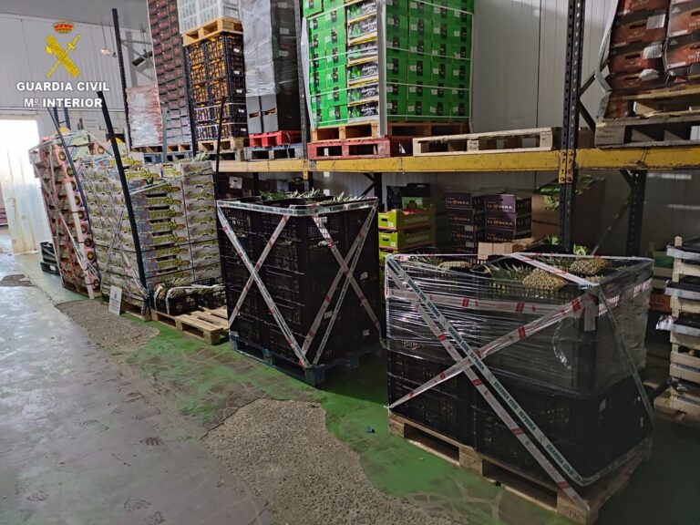 El SEPRONA se incauta de más de dos toneladas de fruta tropical en Fuerteventura