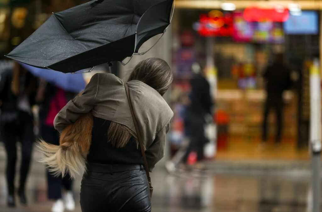 El viento provoca algunos desprendimientos y caída de ramas y árboles en Canarias