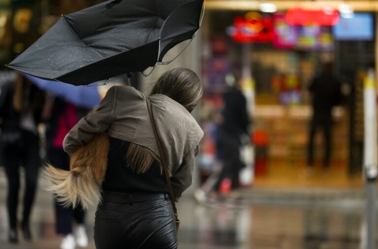 El viento provoca algunos desprendimientos y caída de ramas en Canarias