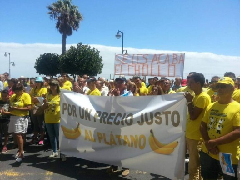 La Plataforma por un Precio Justo del Plátano forma una marea amarilla en protesta por los sobrecostes