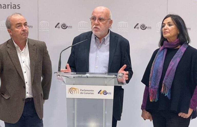 Sí Podemos Canarias pide poner «limitaciones a los desmanes de la selva inmobiliaria”