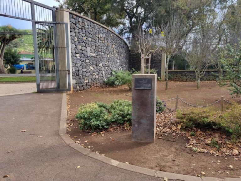 Roban el busto de Pedro González en La Laguna, en Tenerife