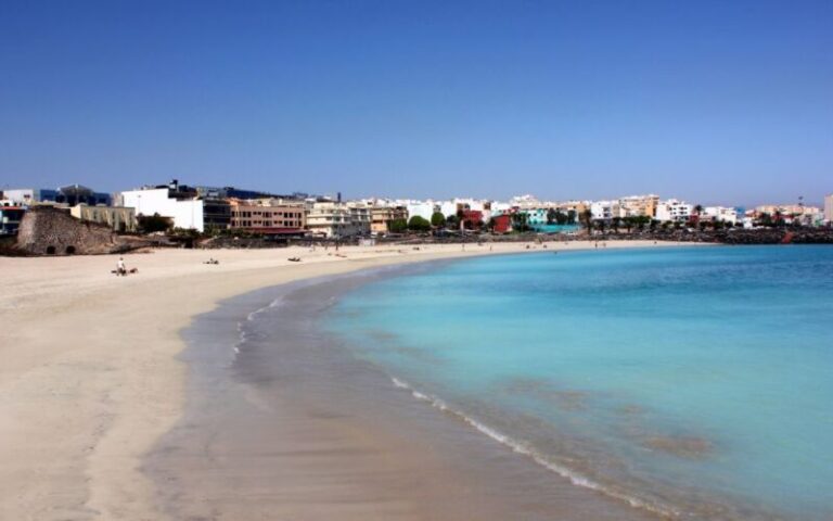 Encuentran varado un delfín muerto en la playa de Los Pozos, Fuerteventura