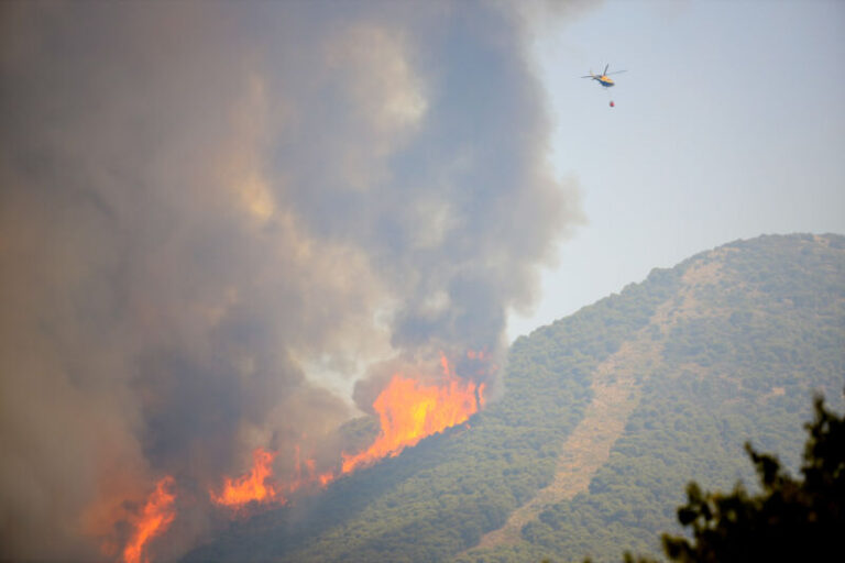 Publicada la convocatoria de ayudas para recuperar zonas afectadas por los incendios forestales del verano