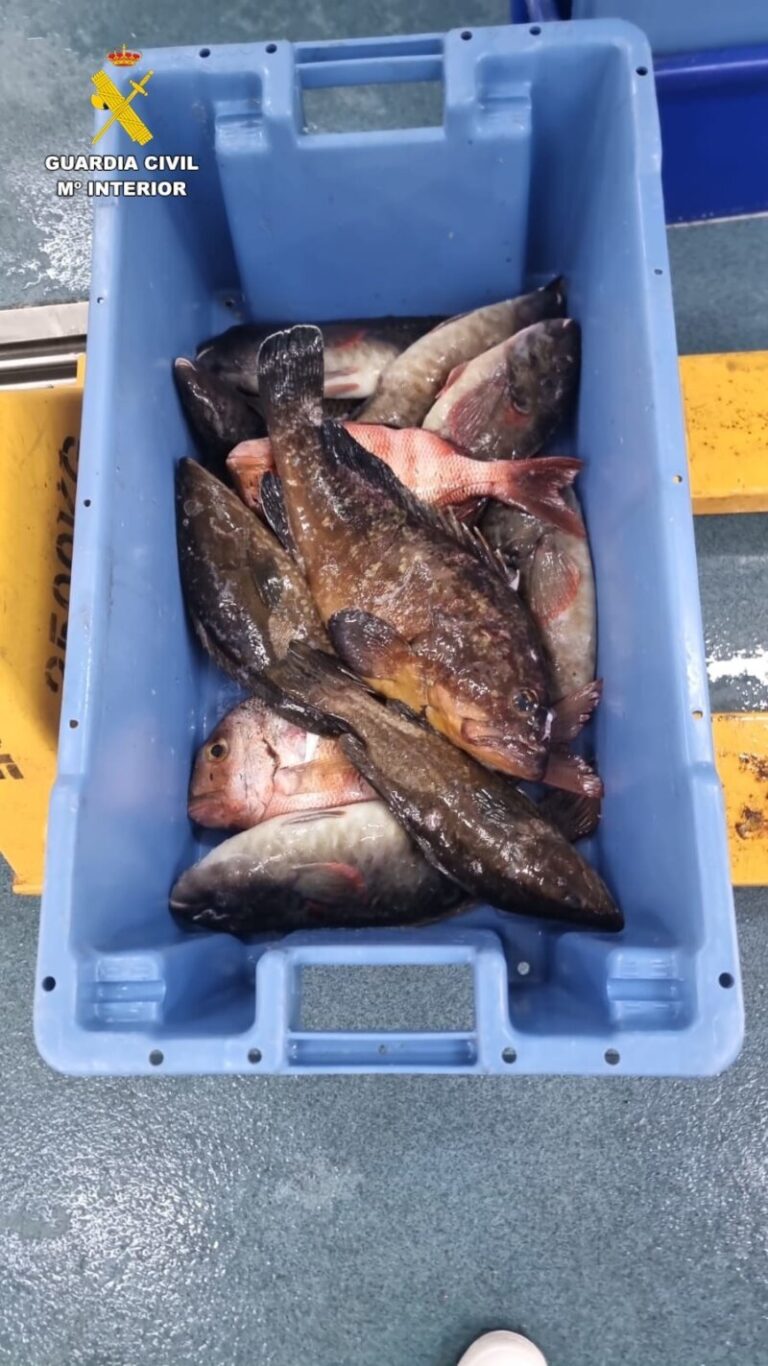 Incautan unos 36 kilos de pescado en Fuerteventura