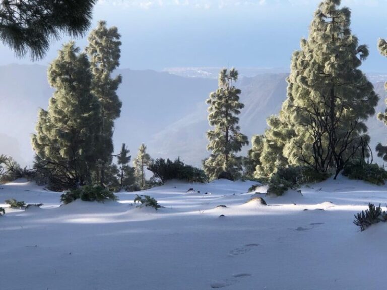 La nieve llega a Gran Canaria, Tenerife y La Palma