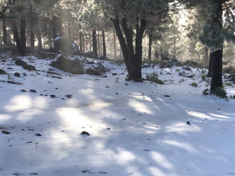 Nieve en GC 1