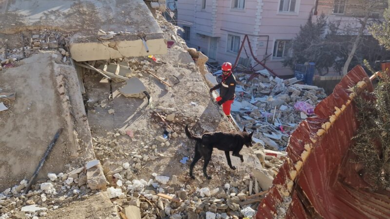 Imagen de la UME trabajando en Turquía. Foto del Ministerio de Defensa