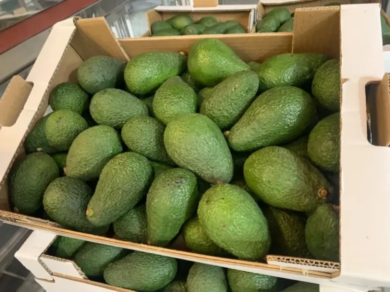 Los Realejos pone en marcha una campaña para evitar la compra de aguacates robados