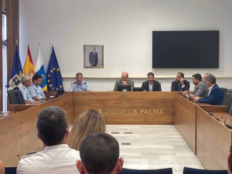 El Ejército del Aire realiza un simulacro de accidente aéreo en La Palma