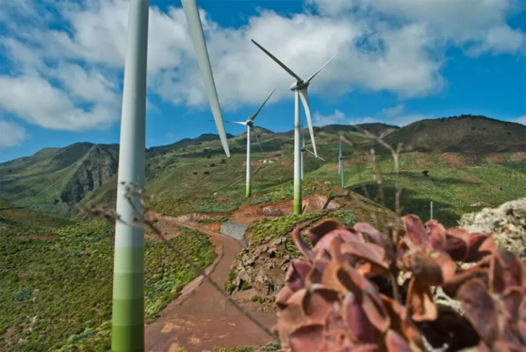 En El Hierro, El Cabildo y Endesa presentan un nuevo proyecto dirigido a la sostenibilidad