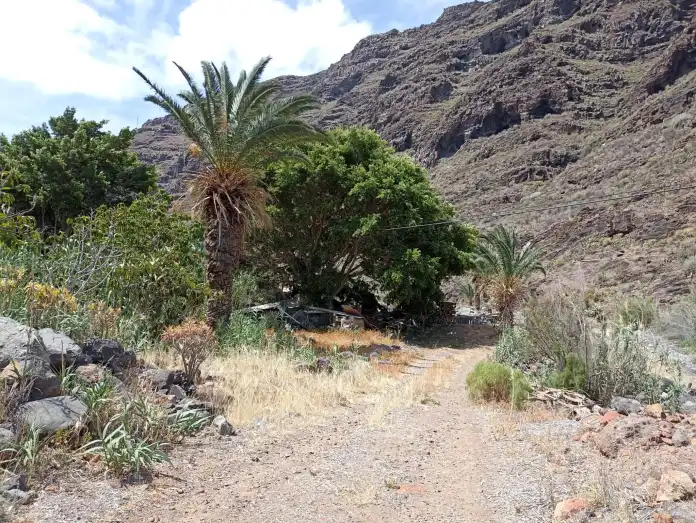 El dueño de una granja de La Gomera se enfrenta a cuatro años y medio de cárcel por vertidos