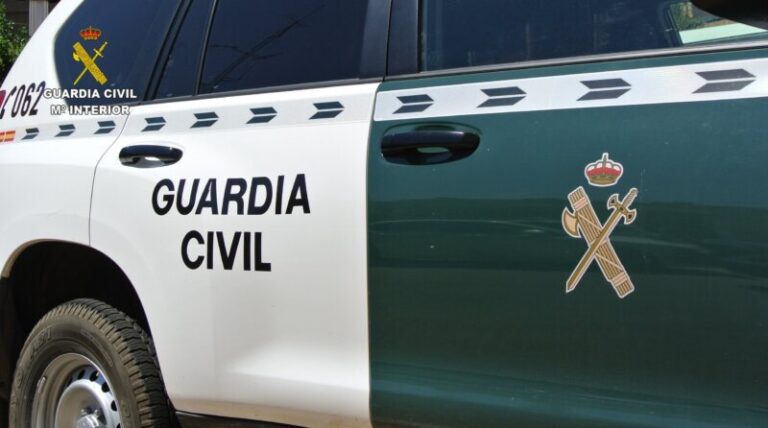 Detenidas dos personas dedicadas a robar a turistas en el sur de Tenerife