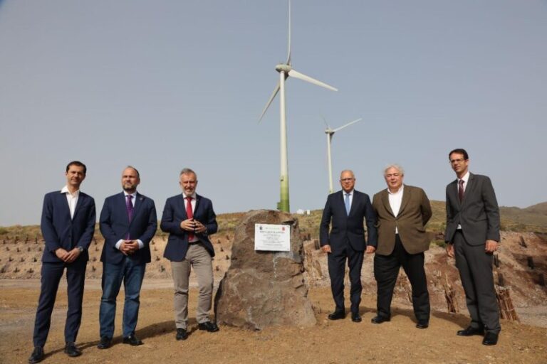 La Gomera pone en marcha cinco parques eólicos que permiten cubrir las necesidades de la isla