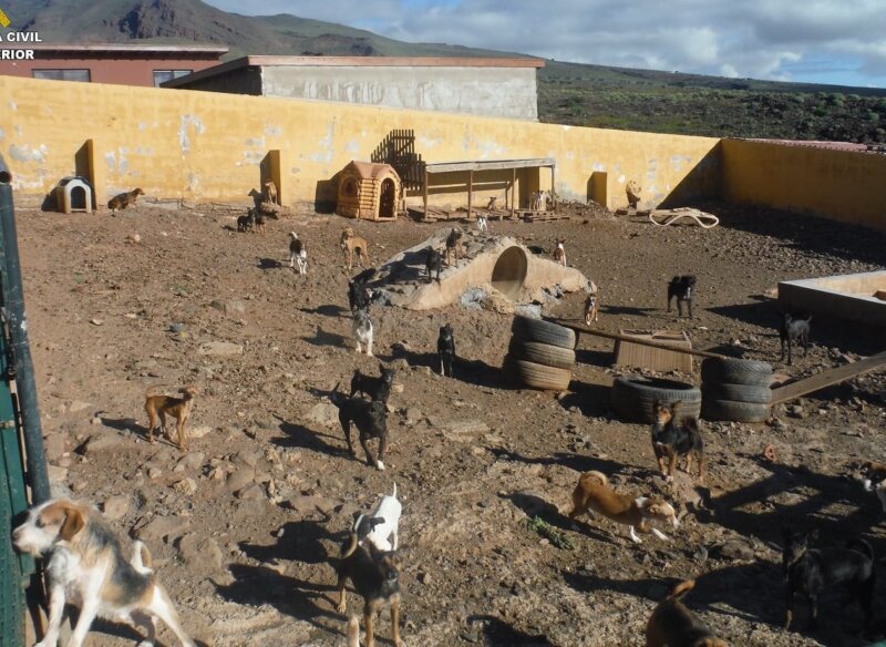Investigan una asociación dedicada al tráfico ilegal de animales