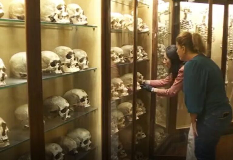 Los aborígenes de Gran Canaria ofrecen nuevos descubrimientos