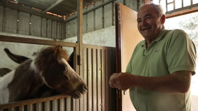 Noveleros rinde homenaje a los otros miembros de la familia con ‘Peluditos’