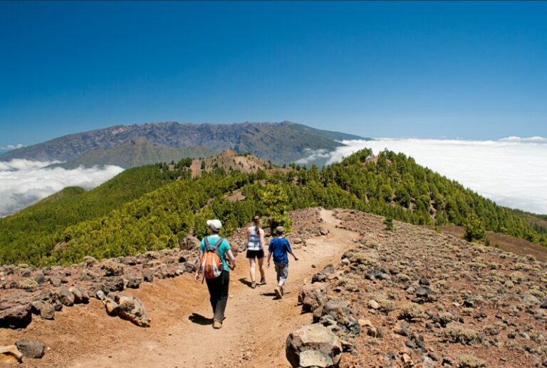Los Bonos Turísticos La Palma repartirán 8.000 tarjetas de 250 euros para reactivar el tejido empresarial local