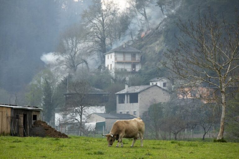 Asturias vigila más de 30 incendios