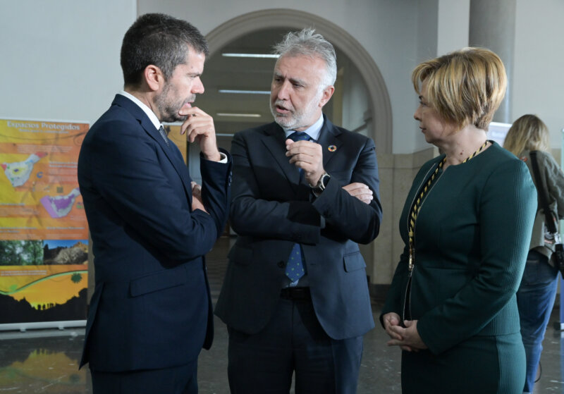 Rector ULL